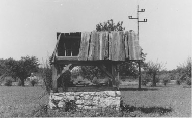 eika image